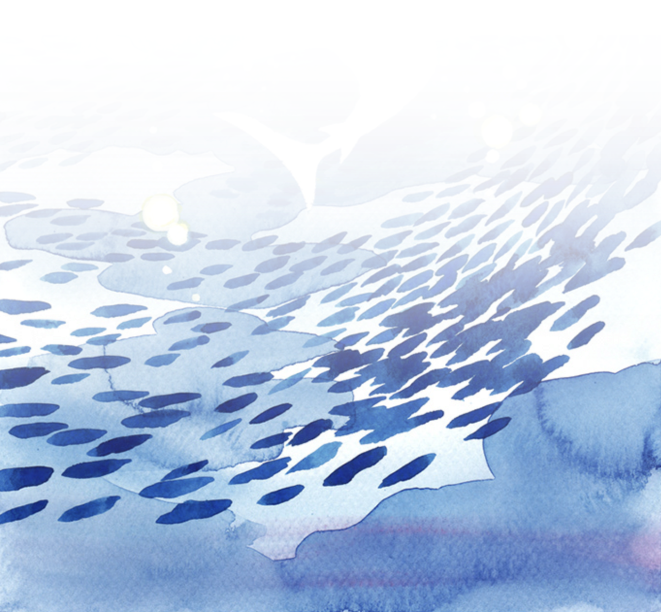 background sea