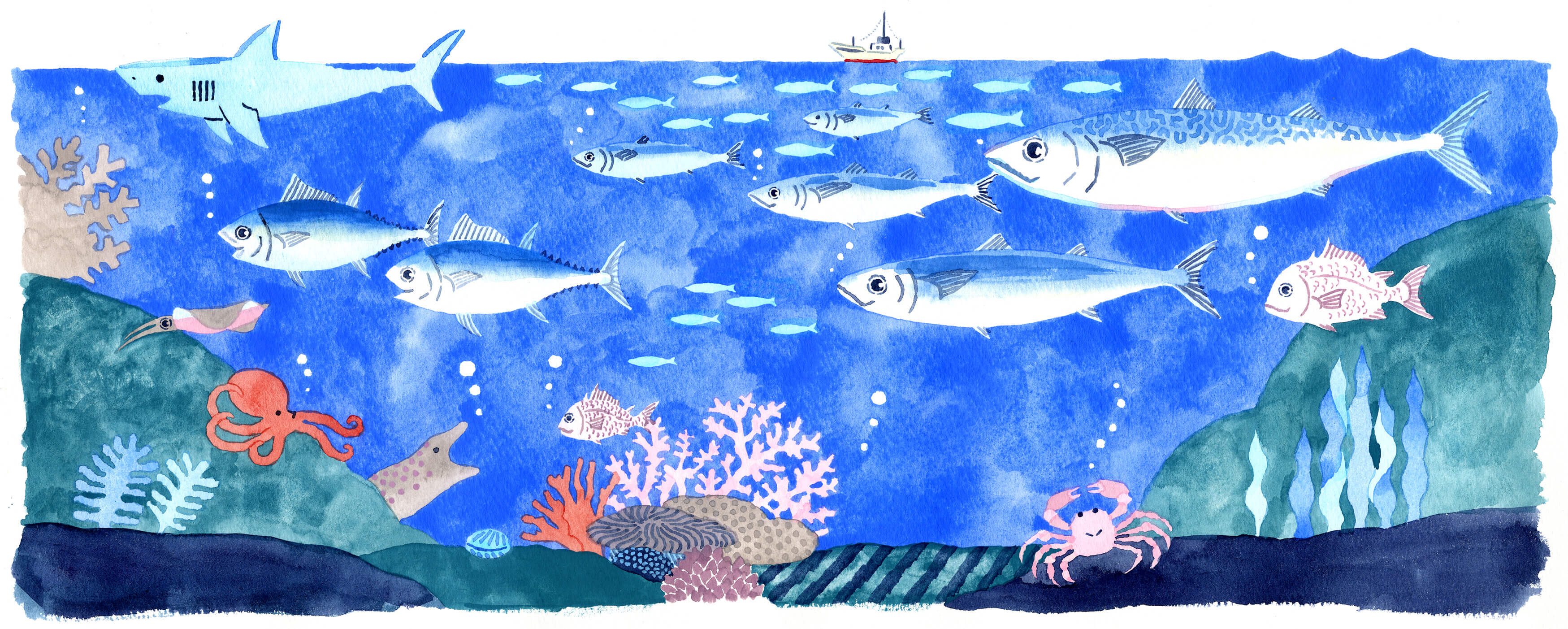 background sea
