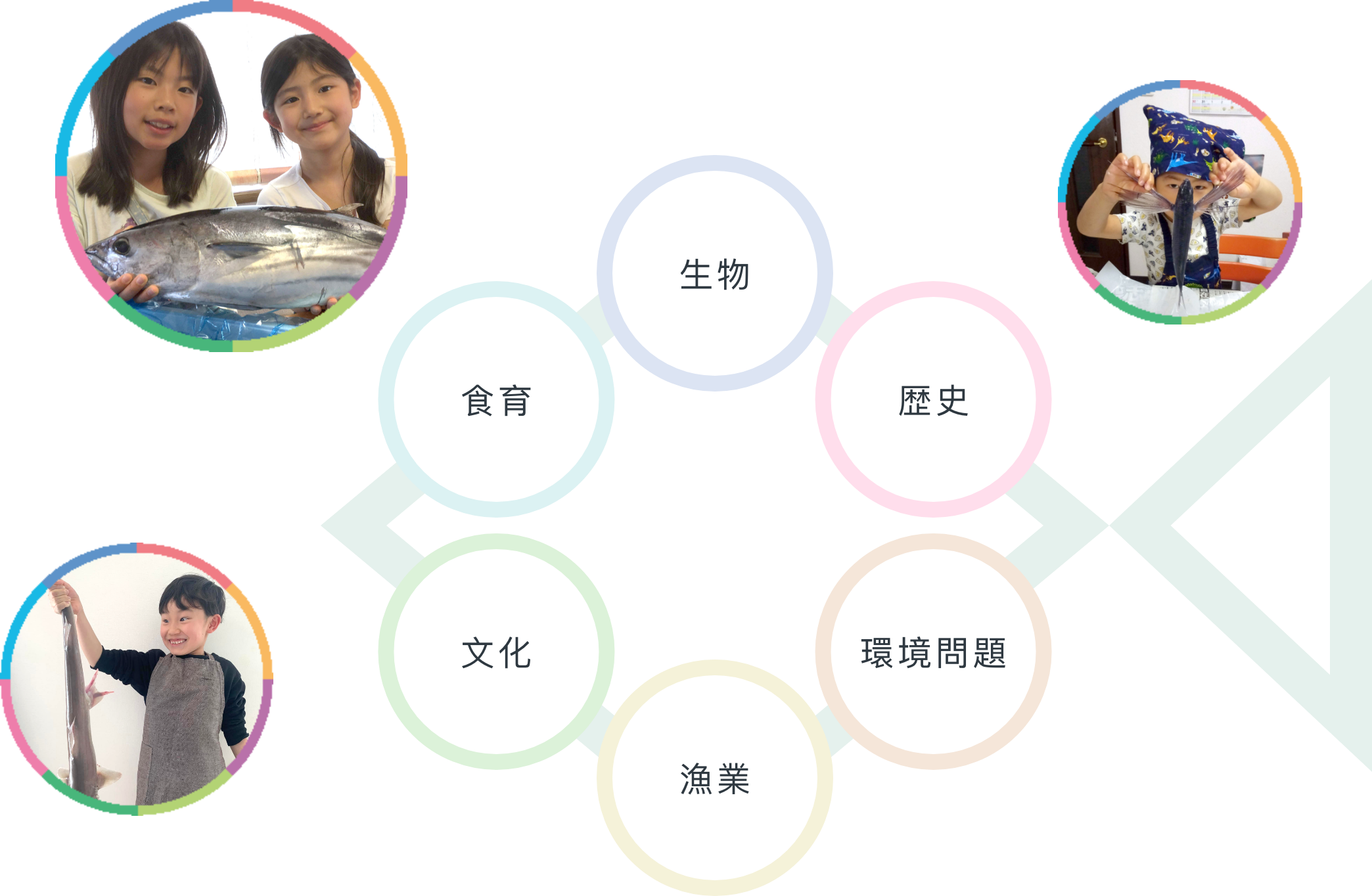 おさかな小学校 授業のテーマ